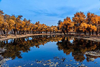 《星空》NPC日常生活Mod：提升沉浸感 不影响性能